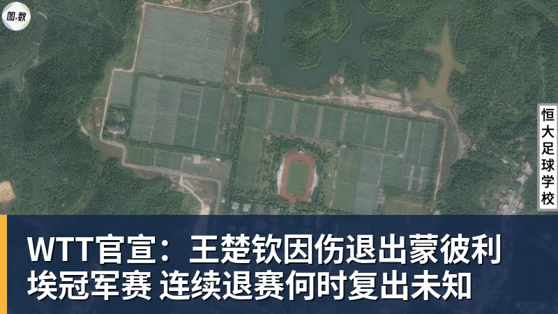 乐虎体育WTT官宣:王楚钦因伤退出蒙彼利埃冠军赛 连续退赛何时复出未知